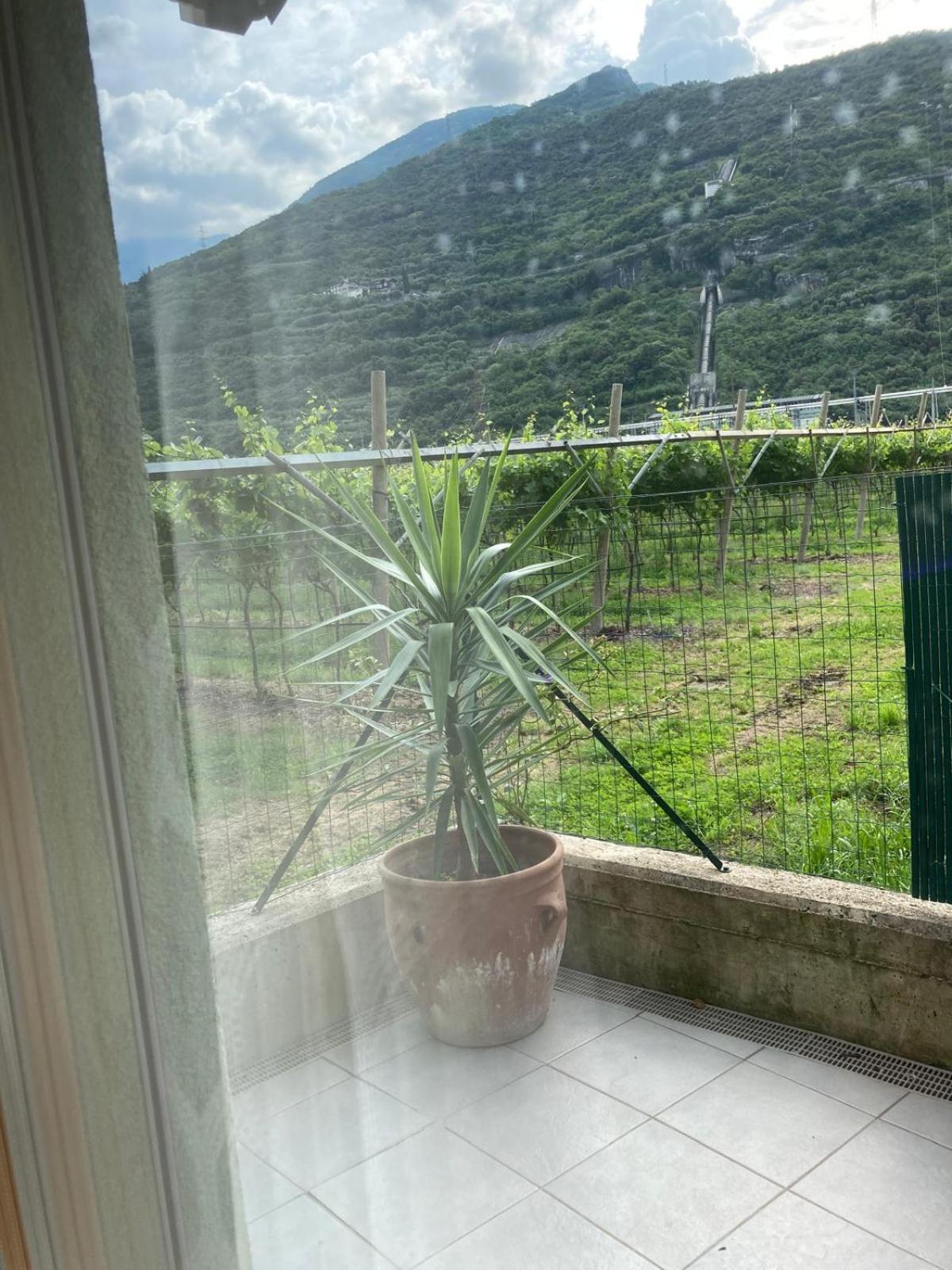 Velo Di Maya Nago Esterno foto